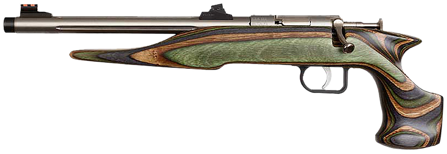 Chipmunk 00005 Gen2 22 LR 1rd 16.10" Blued Tapered Single Shot Barrel, Fixed Camo Laminate Stock