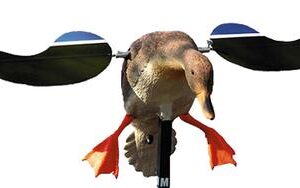 MOJO HW4501 BABY HEN 6V DECOY