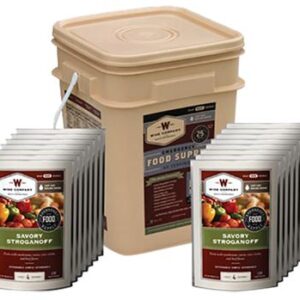 WISE 01160 ENTREE GRAB GO BUCKET 60